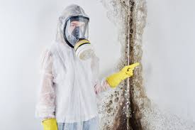 Trusted Roseland, OH Mold Remediation Experts